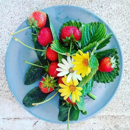 Nocleg ze śniadaniem Verdeoliva