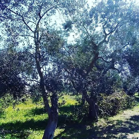 Verdeoliva 4* Modugno