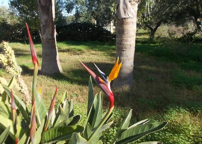 Bed & Breakfast Verdeoliva