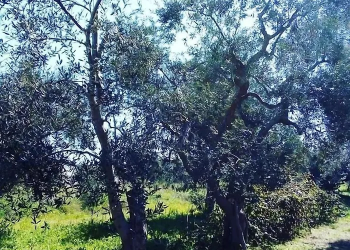 Verdeoliva 4* Modugno