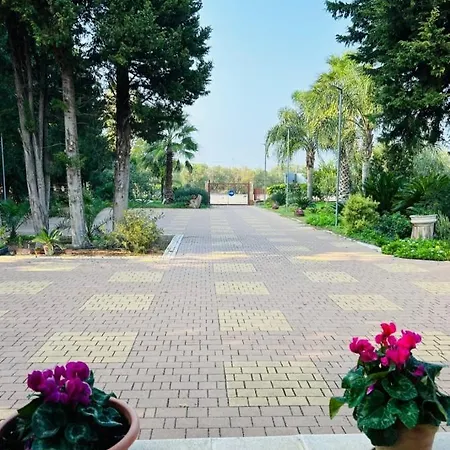 Oda ve Kahvaltı Verdeoliva