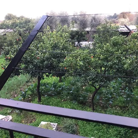 Bed & Breakfast Verdeoliva 2*