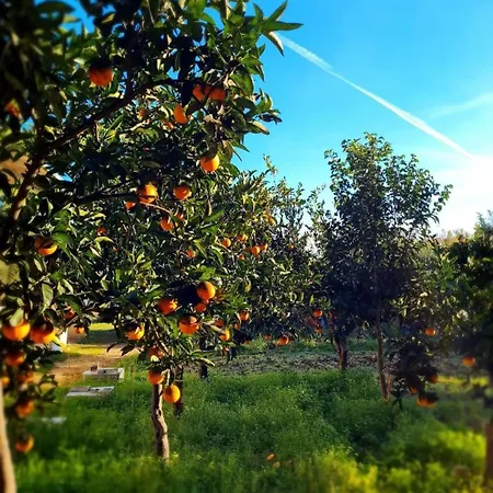 Verdeoliva 4* Modugno