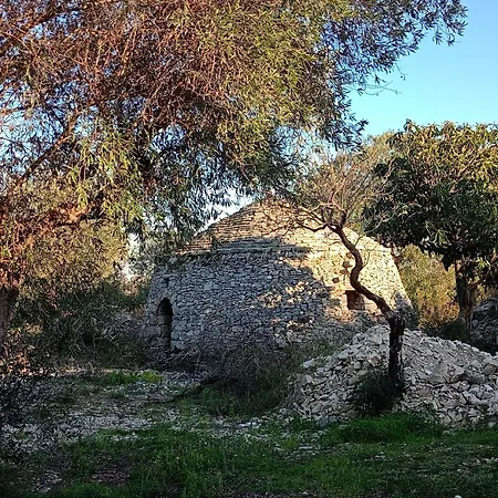 Verdeoliva Bed & Breakfast Modugno