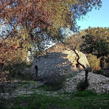 Verdeoliva Panzió Modugno