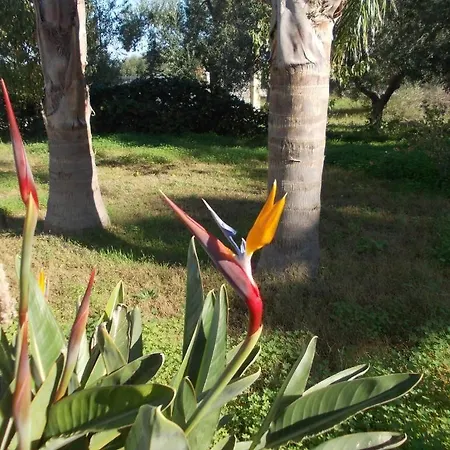 Bed and Breakfast Verdeoliva