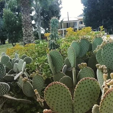 Verdeoliva Bed and Breakfast