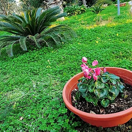 Verdeoliva 4* Modugno