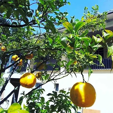 Verdeoliva 4* Modugno