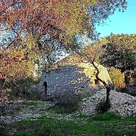 Oda ve Kahvaltı Verdeoliva